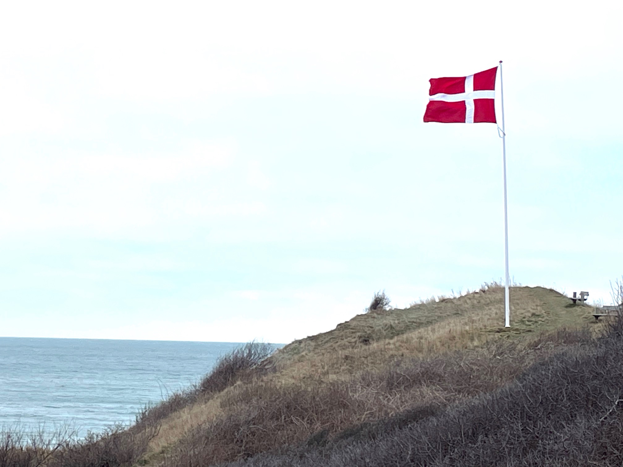 Dannebrog 5 februar 2026 Marys fødselsdag