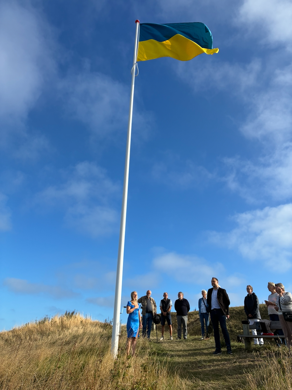 ukraines flagdag 3 (1)